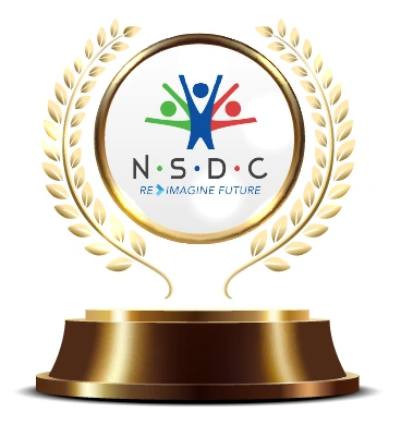 NSDC - Best Practice Recognition Award